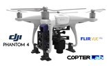 Picture for category Flir Vue Pro R