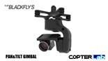 Picture for category Flir Blackfly