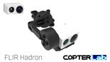 Picture for category Flir Hadron