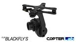 Picture for category Flir Blackfly