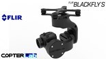 Picture for category Night Vision Gimbals