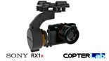 Picture for category Sony RX1R