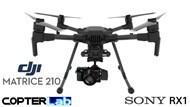2 Axis Sony RX1 Micro Skyport Brushless Gimbal for DJI Matrice 30T